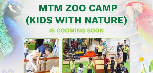MTM ZOO CAMP 2026
